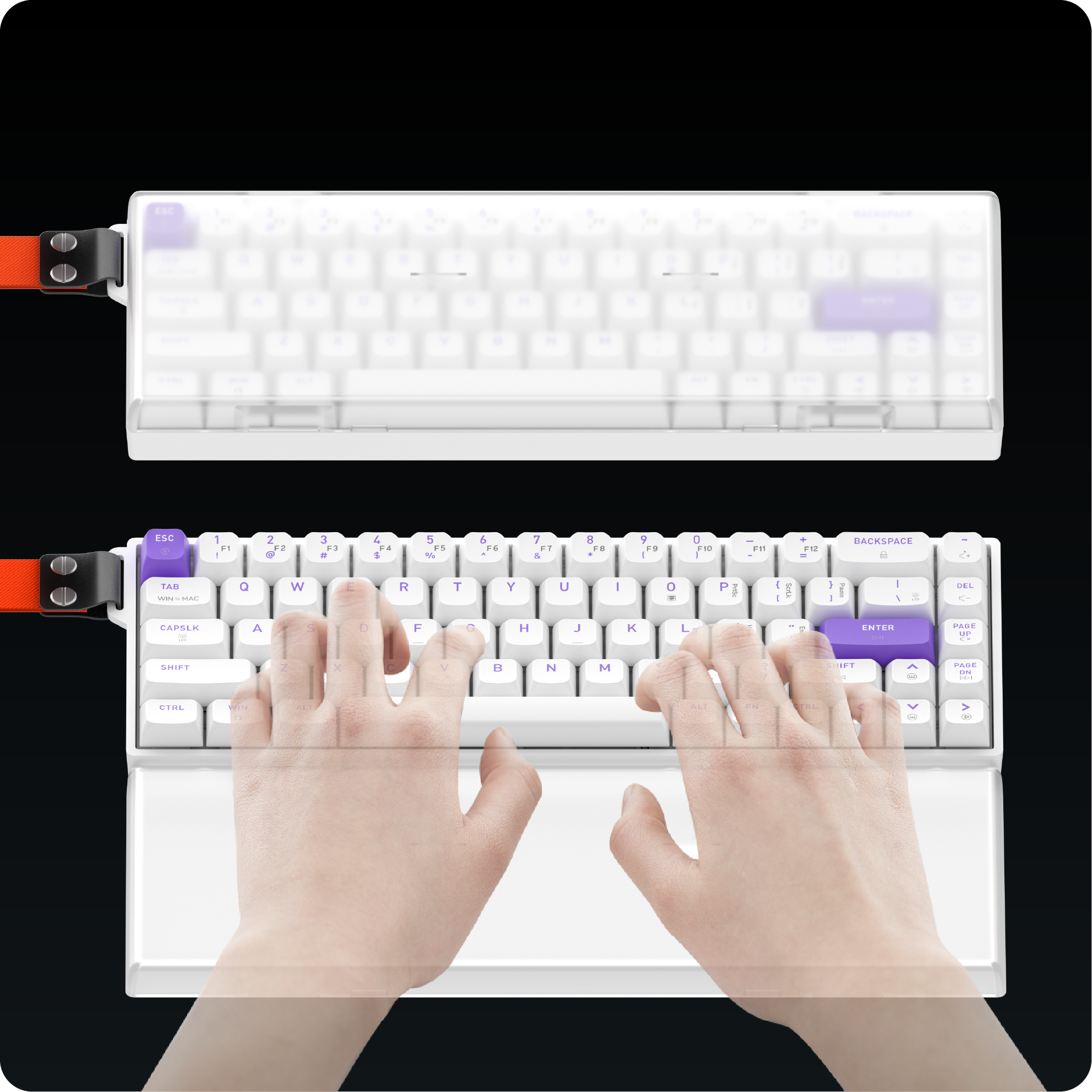 这是一个alt 属性