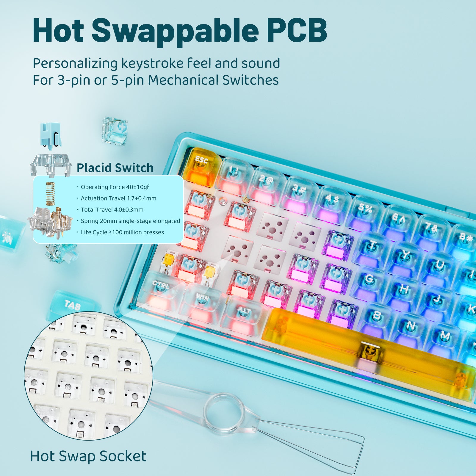 Hexgears X Einperr Base68 Mechanical Keyboard - RGB Backlit - 2.4GHz/USB-C/BT5.0 - DIY Your Own Casing at Home