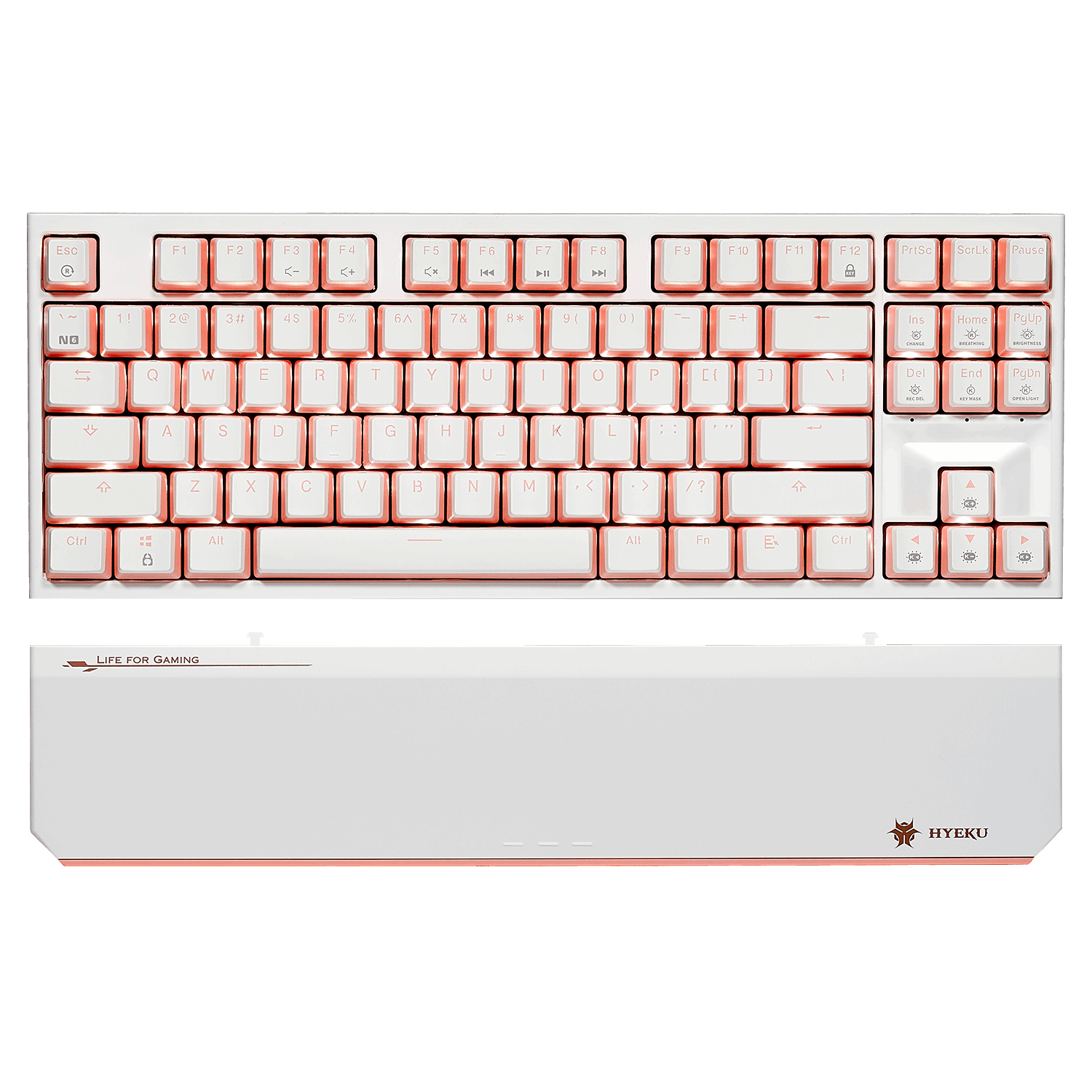 PowerBlade X3 Pro Tenkeyless Wireless Gaming Mechanical Keyboard|HYEKU