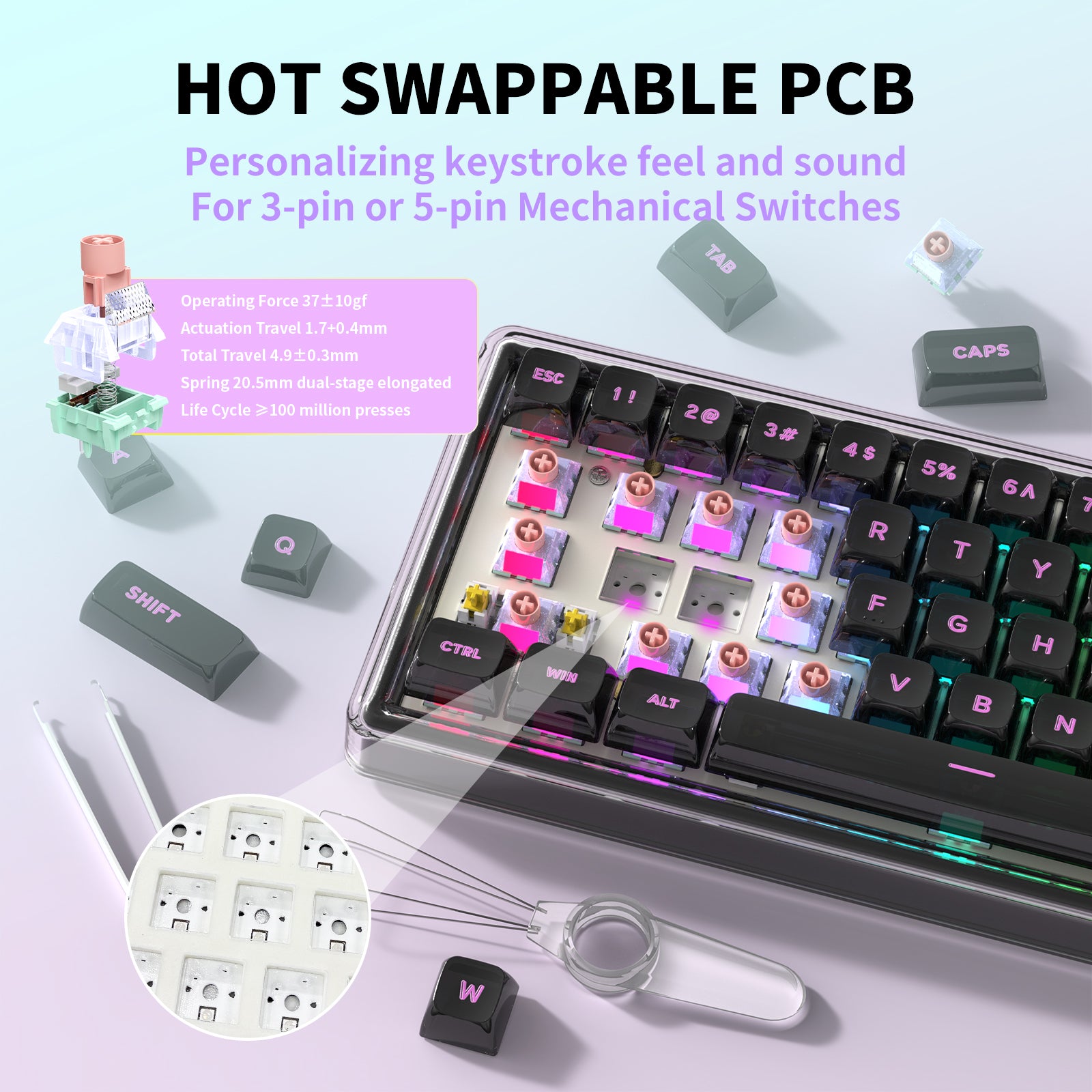 Hexgears X Einperr Base68 Mechanical Keyboard - RGB Backlit - 2.4GHz/USB-C/BT5.0 - DIY Your Own Casing at Home