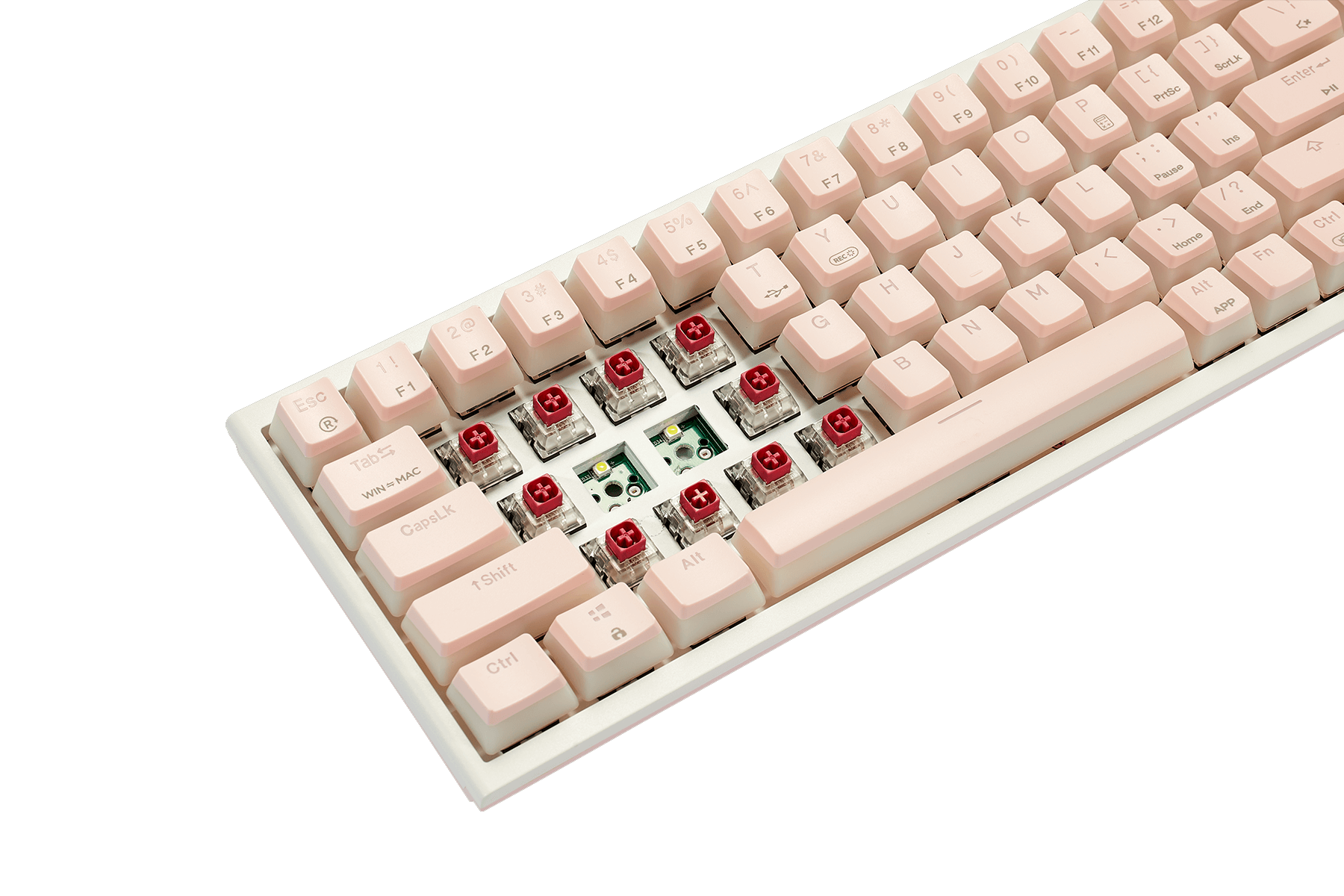 PowerBlade_X1_Pro_Wireless_65_Mechanical_Keyboard_5-pin_Hot-Swappable