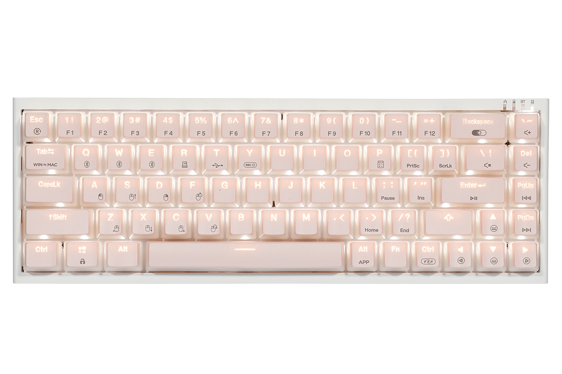 PowerBlade_X1_Pro_Wireless_Mechanical_Keyboard_65_Layout