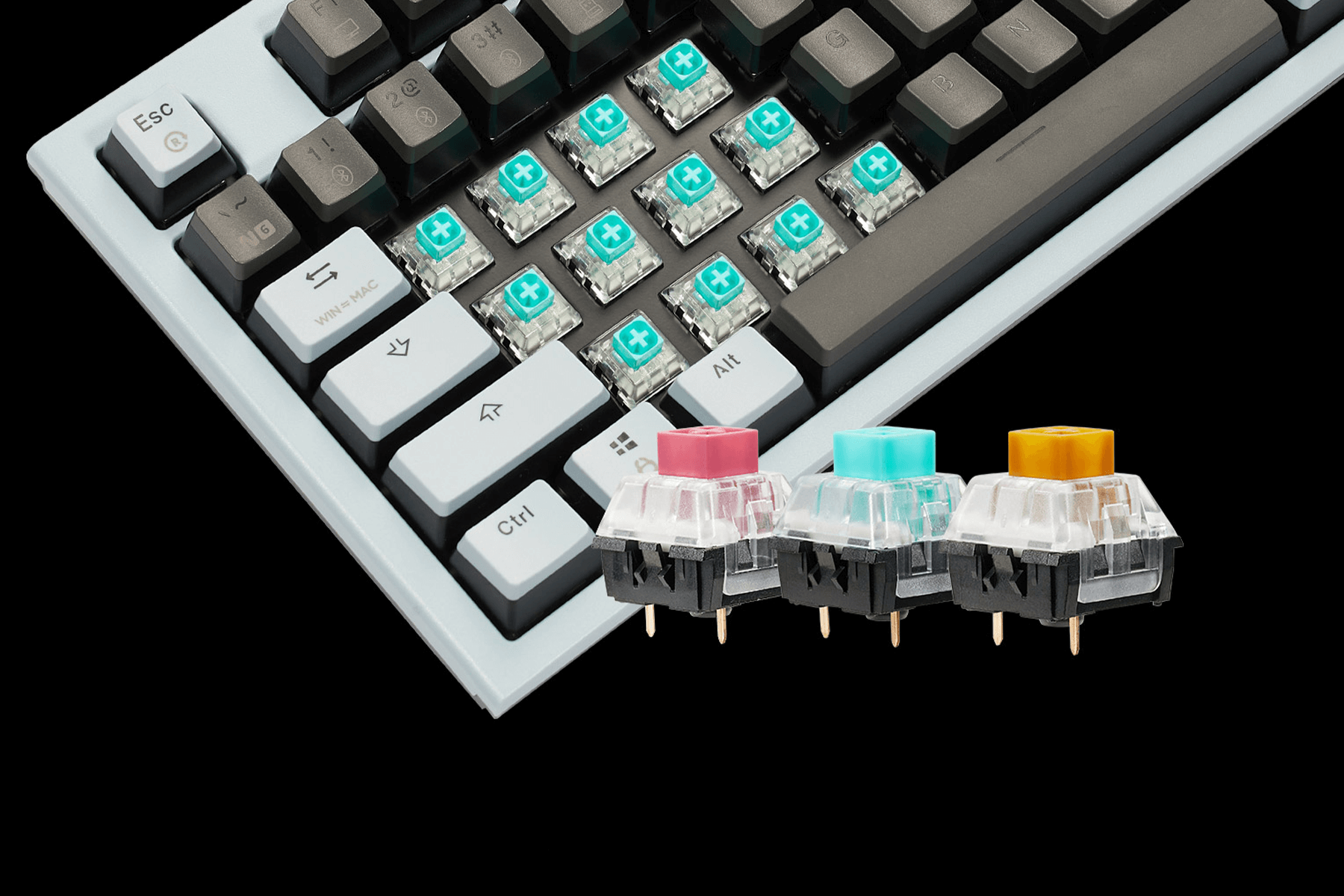 PowerBlade_X5_Pro_Full_Size_Wireless_Hot-Swappable_Mechanical_Keyboard_Box_Switches