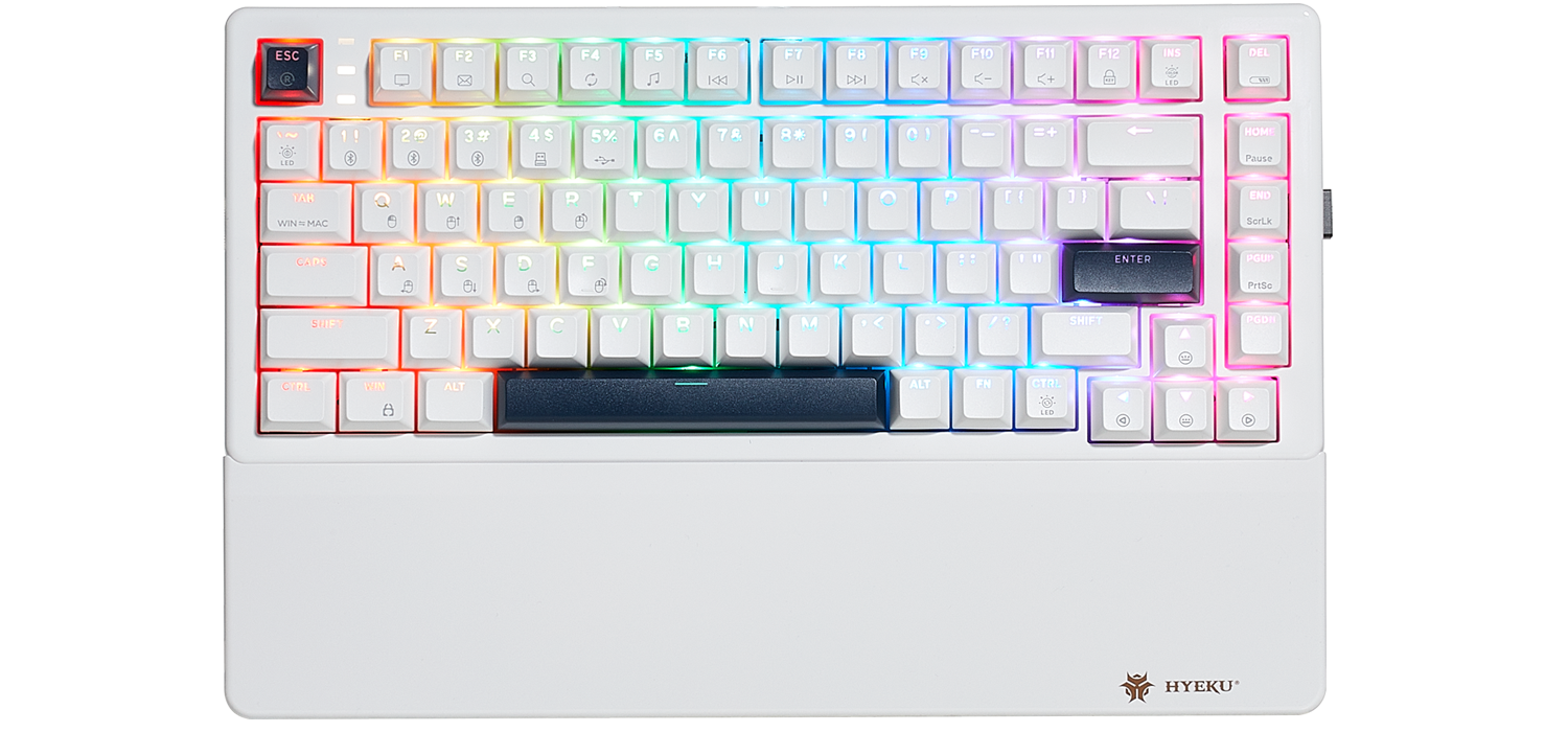 WarpSpeed E2 Pro White Wireless Gaming Mechanical Keyboard Hot Spots