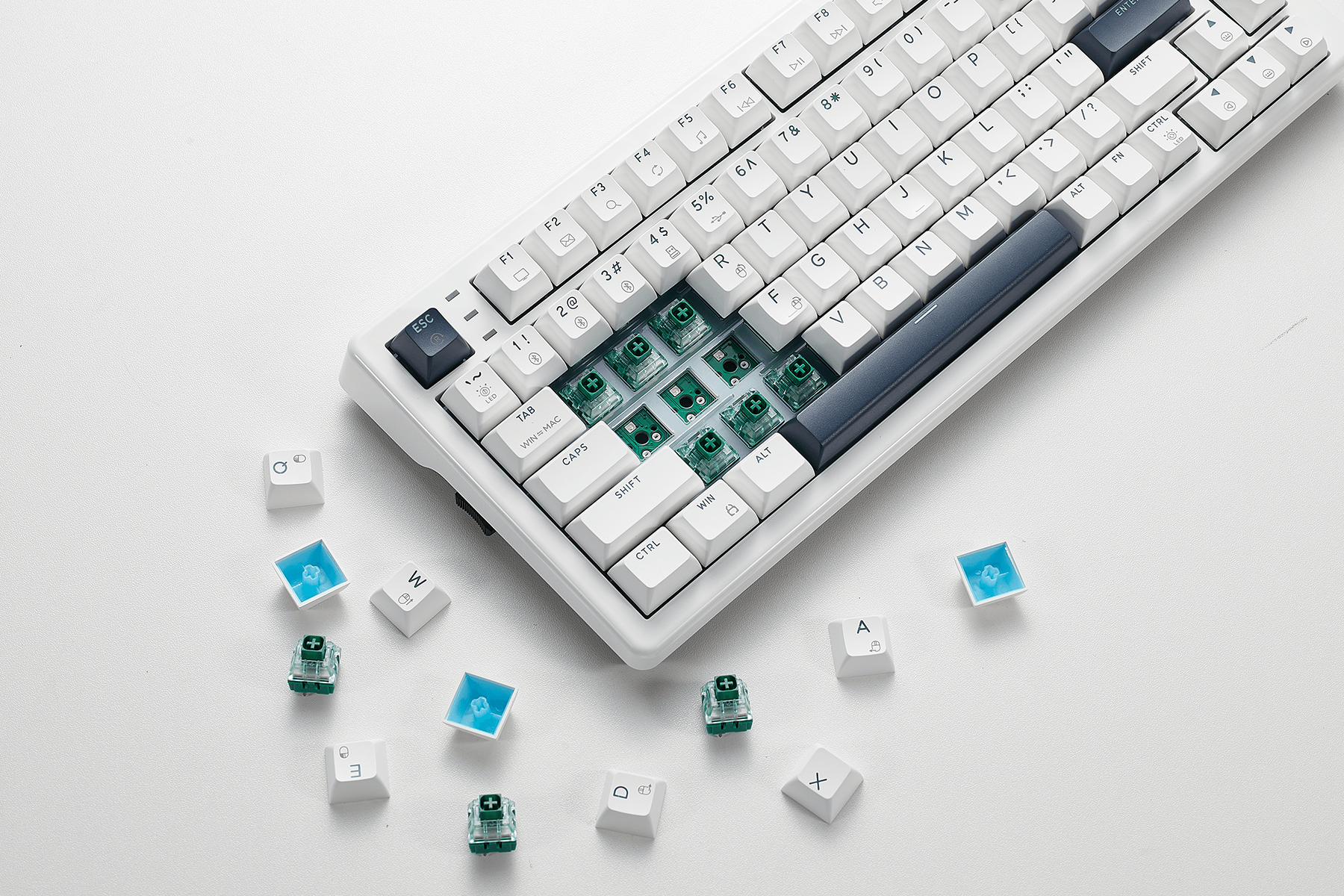 WarpSpeed_E2s_Pro_TKL_Mechanical_Keyboard_with_Analog_Dial_Kailh_Box_Switches