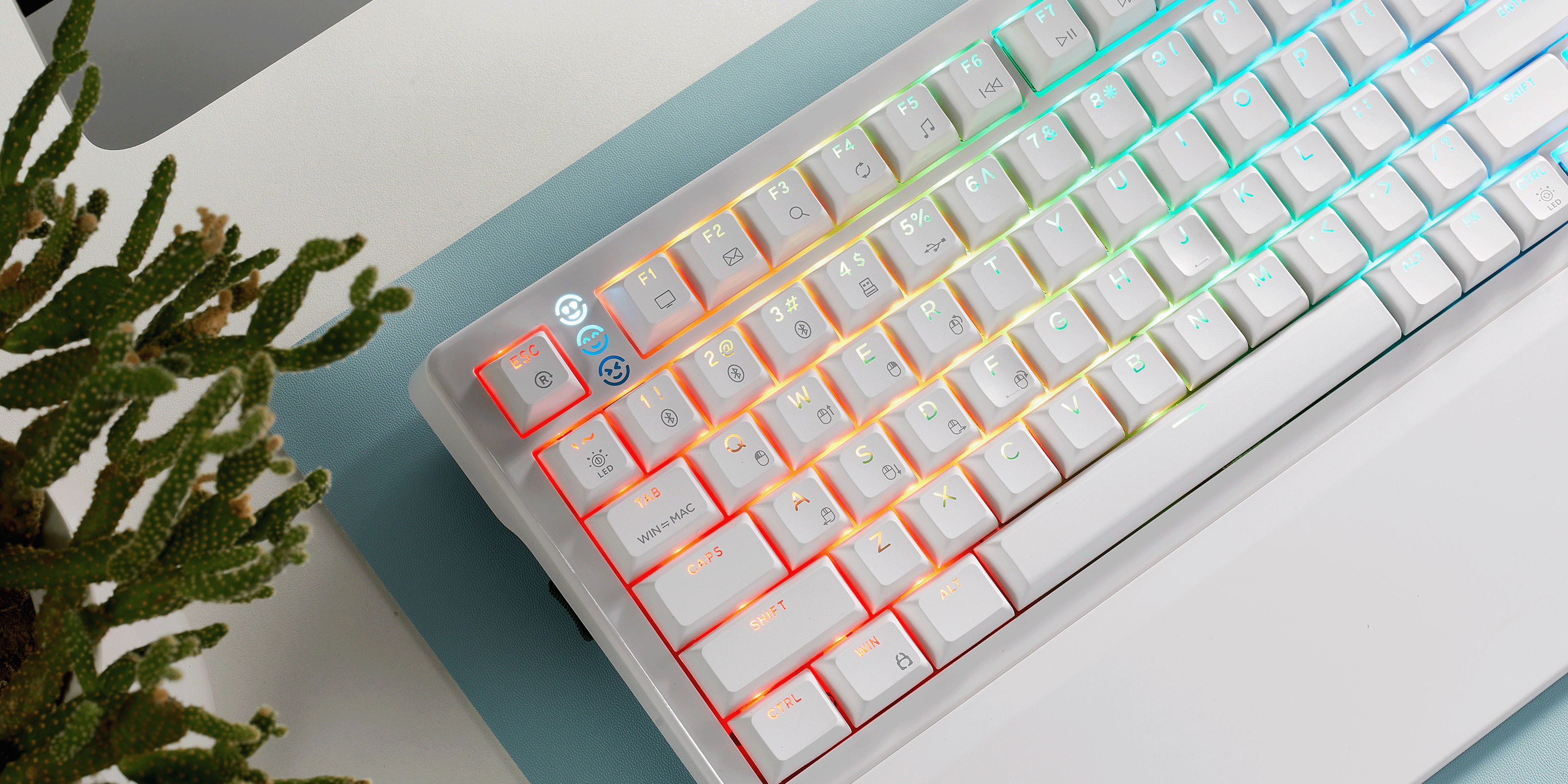WarpSpeed_E4_Pro_99-Key_RGB_White_Color_Gaming_Keyboard