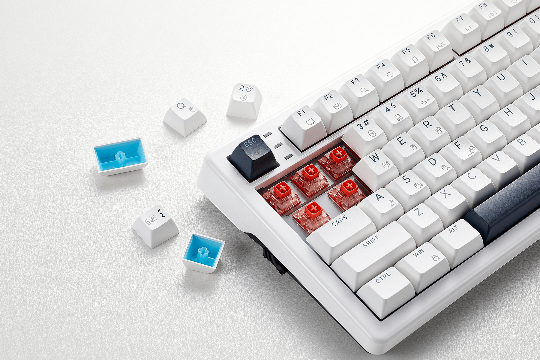WarpSpeed_E4_Pro_99-Key_RGB_White_Color_Gaming_Keyboard_Double_Shots_Keycaps