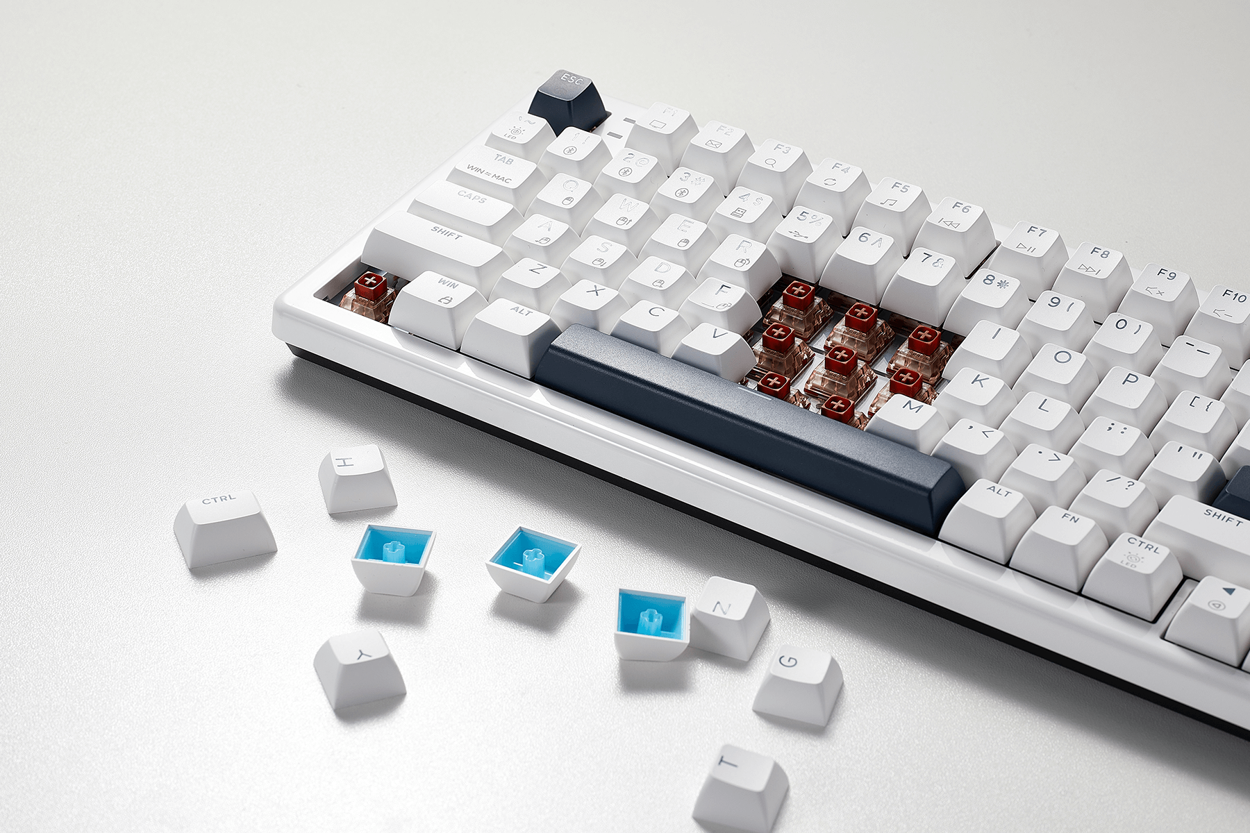 WarpSpeed_E4_Pro_99-Key_RGB_White_Color_Gaming_Keyboard_PBT_Keycaps