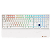 Hexgears hot-swappable gaming keyboard Y5 with customizable rainbow backlighting