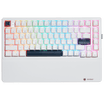 Hexgears tenkeyless keyboard with RGB lighting E2 Pro featuring customizable keys and vibrant colors