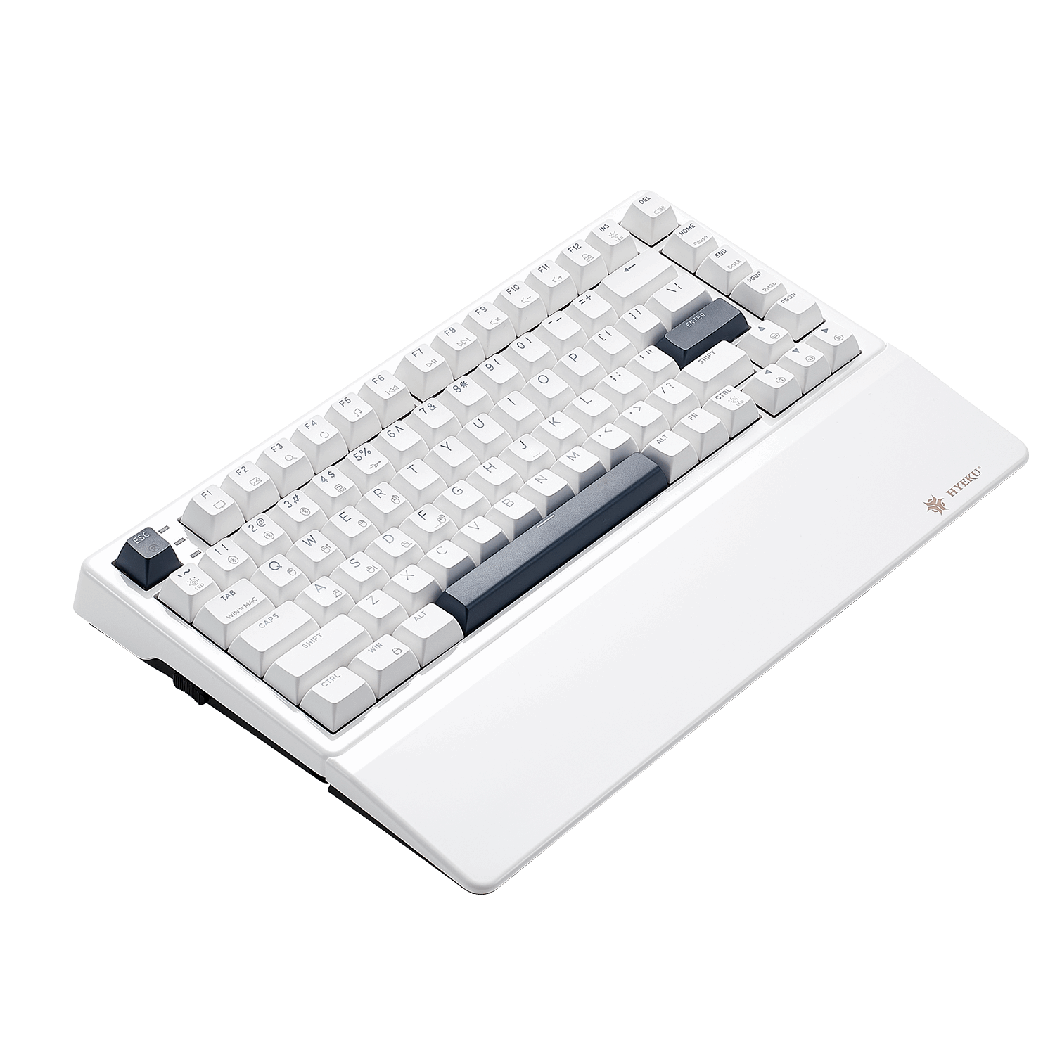 Hexgears E2 Pro tenkeyless keyboard with RGB lighting for gamers and professionals