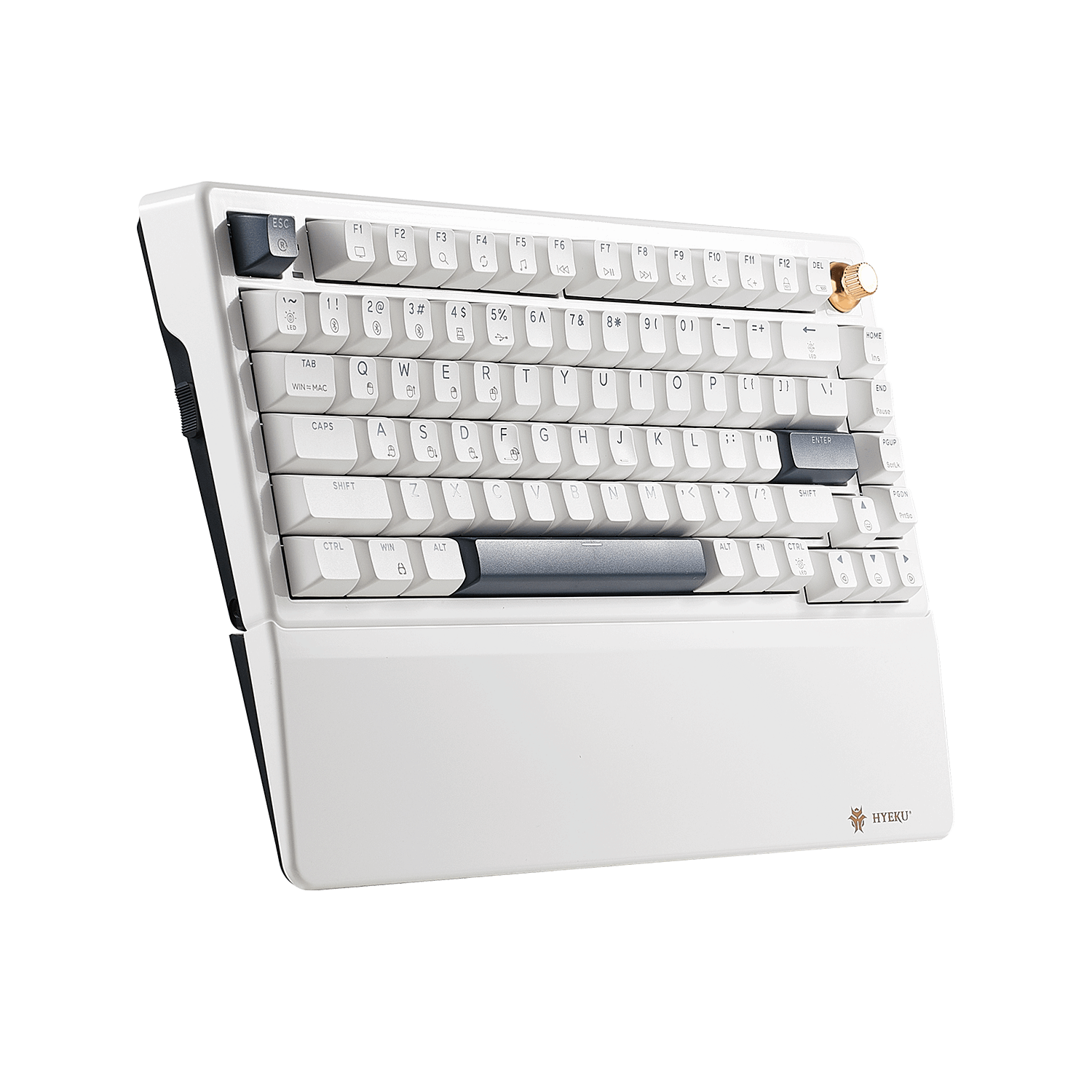 Hexgears WarpSpeed E2s Pro buy with a compact design and customizable RGB lighting