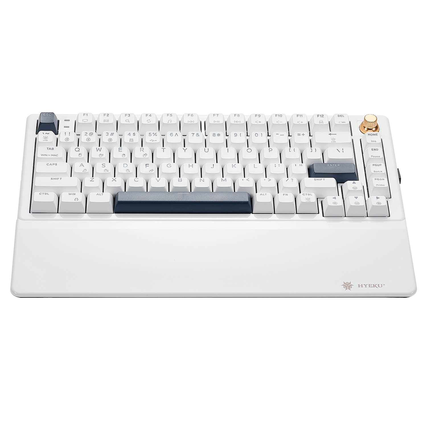 Hexgears WarpSpeed E2s Pro keyboard with white keys and customizable features for gamers and typists to buy