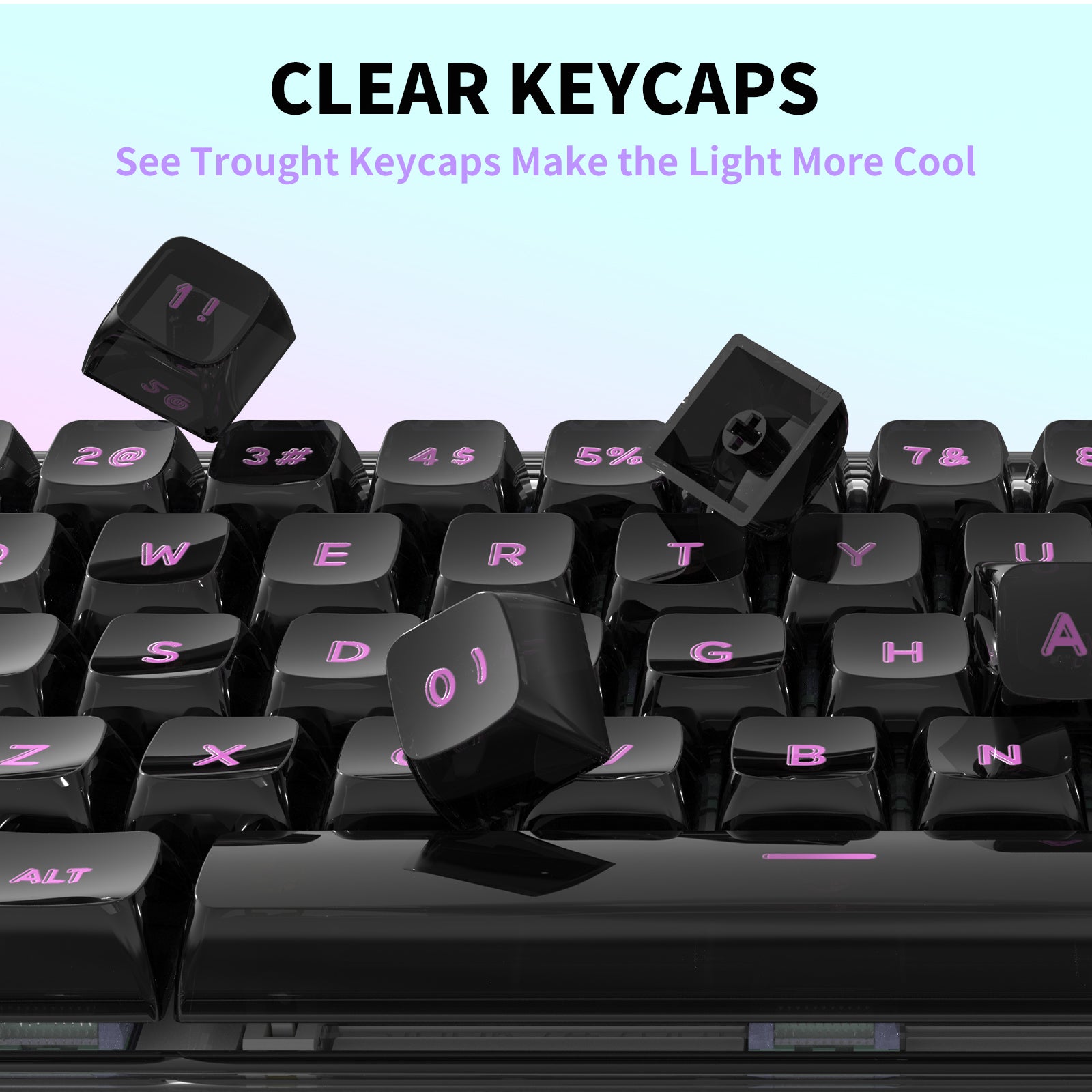 Hexgears X Einperr Base68 Mechanical Keyboard - RGB Backlit - 2.4GHz/USB-C/BT5.0 - DIY Your Own Casing at Home