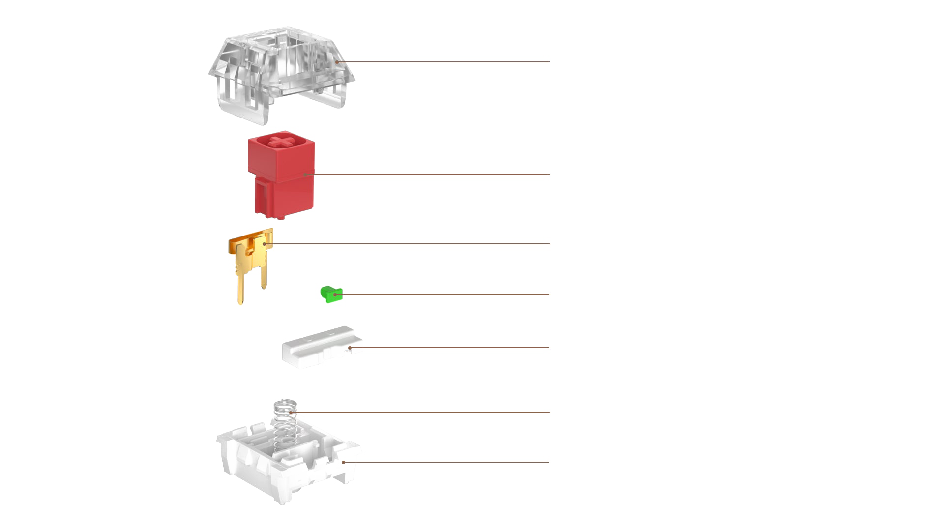 box-switch-structure Anatomy