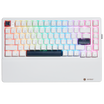 WarpSpeed E2 Pro Wireless Gaming Mechanical Keyboard, TKL, PBT, RGB-White Color-1