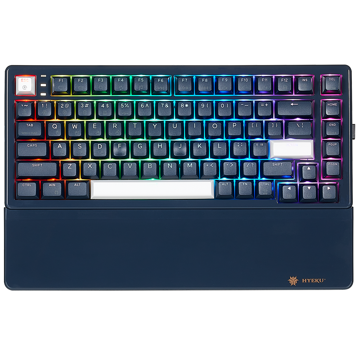 WarpSpeed E2 Pro Wireless Gaming Mechanical Keyboard, TKL, PBT, RGB-Blue Color