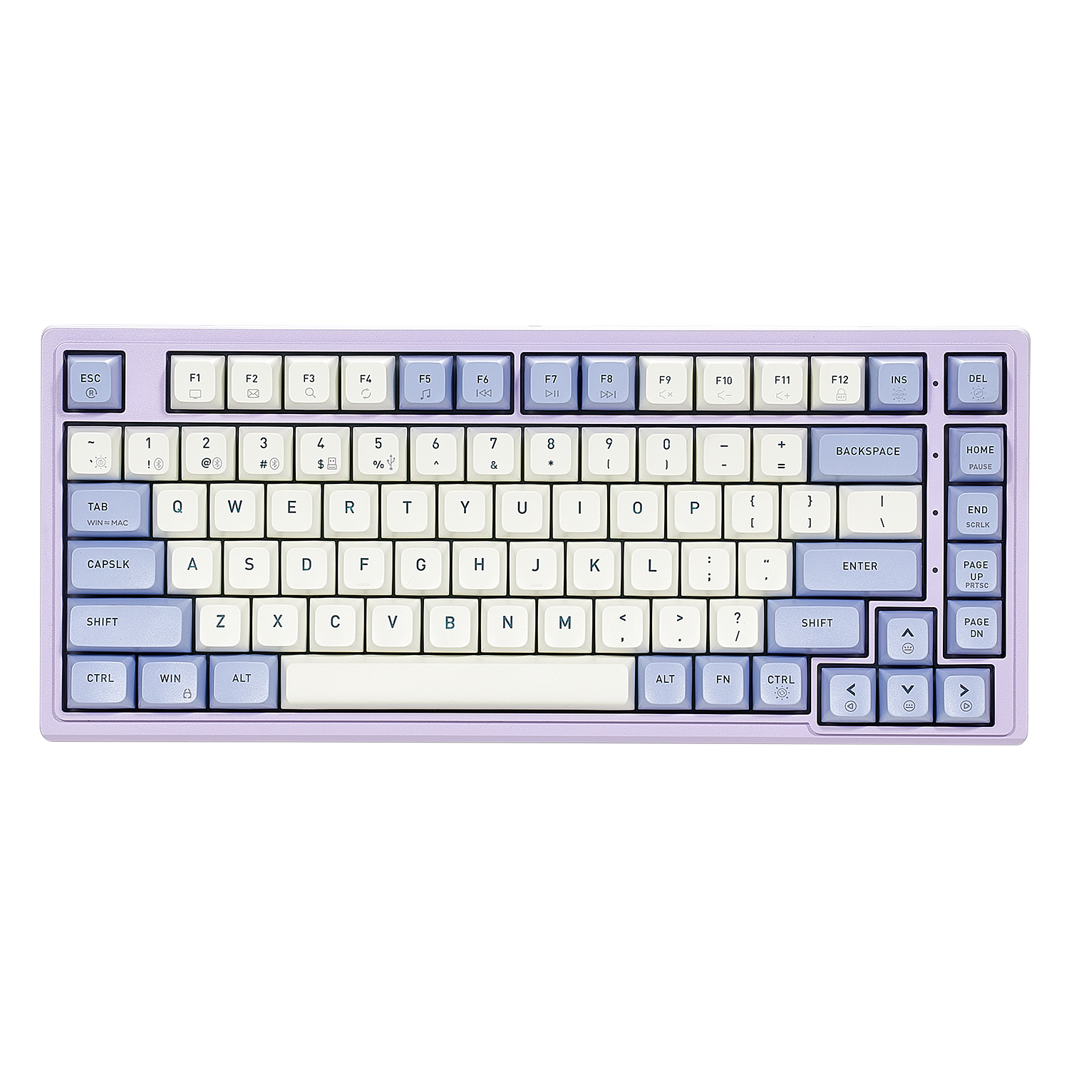 Purple Rain M2 Creamy Mechanical Keyboard, TKL, PBT-Purple & White Color