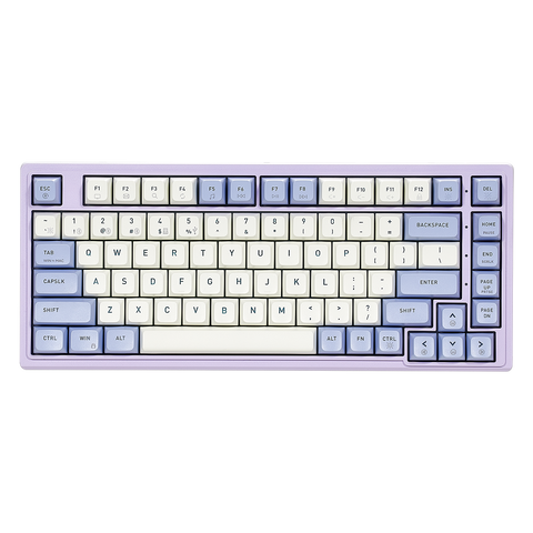 Purple Rain M2 Creamy Mechanical Keyboard, TKL, PBT-Purple & White Color