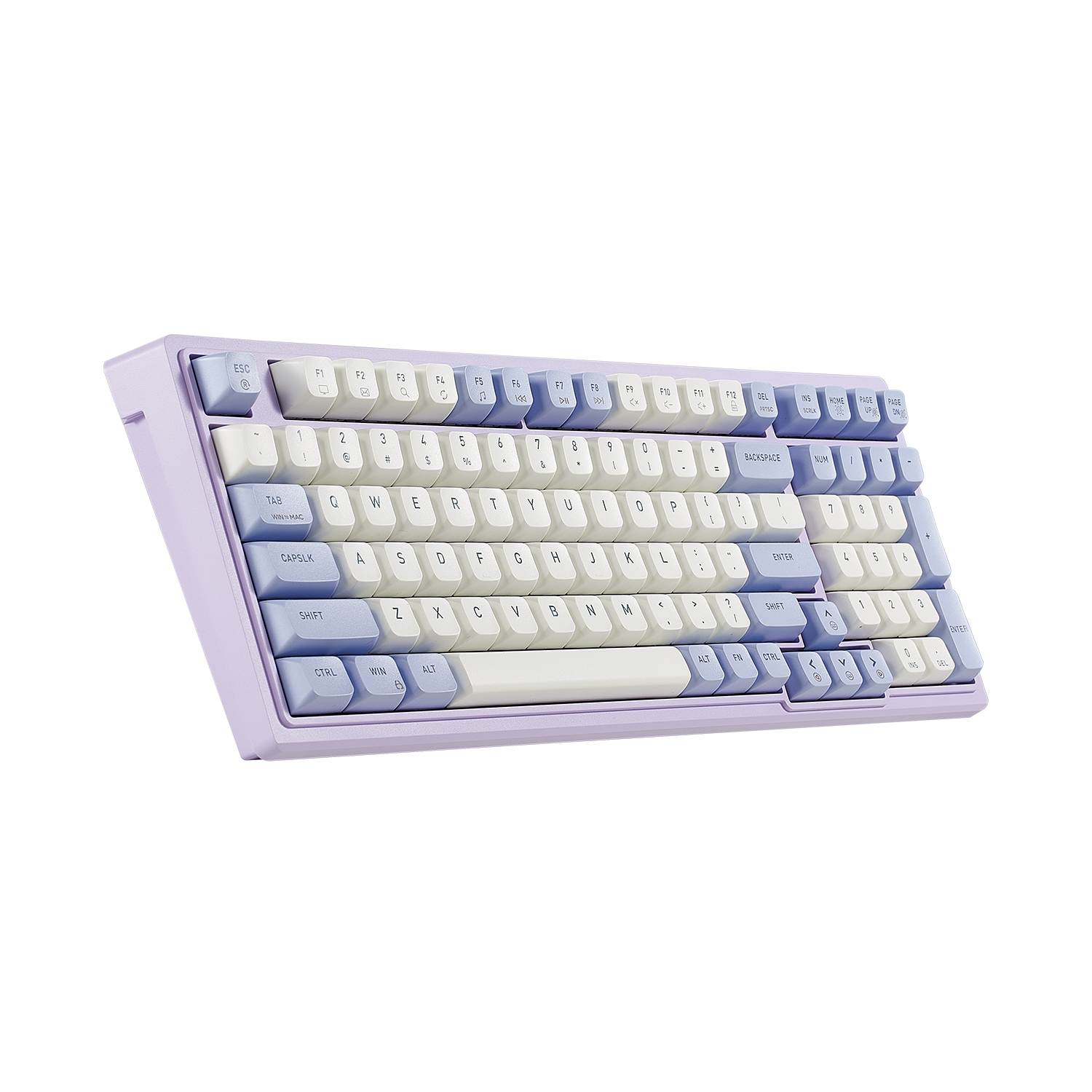 Purple Rain M4 Wired Mechanical Creamy Keyboard, 96% (99-Key), Hot-Swappable-Purple & White Color-3