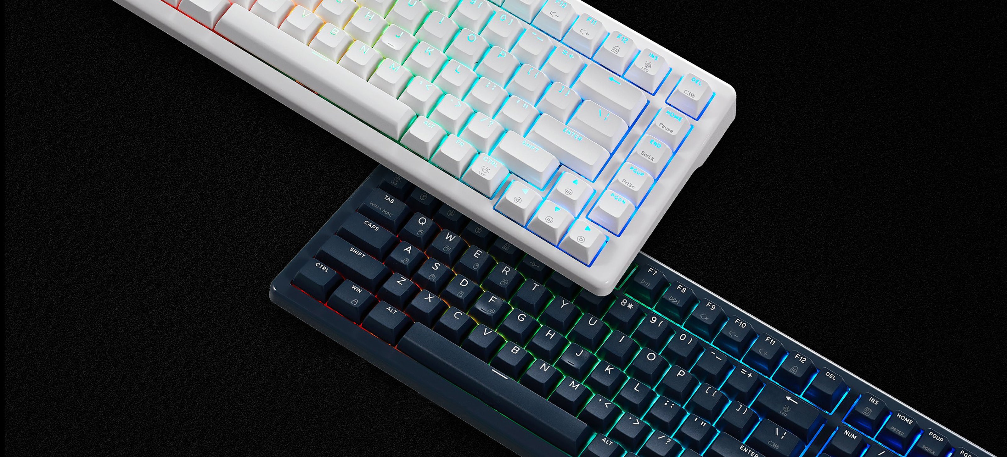 WarpSpeed E Series Mechanical Keyboard Collection