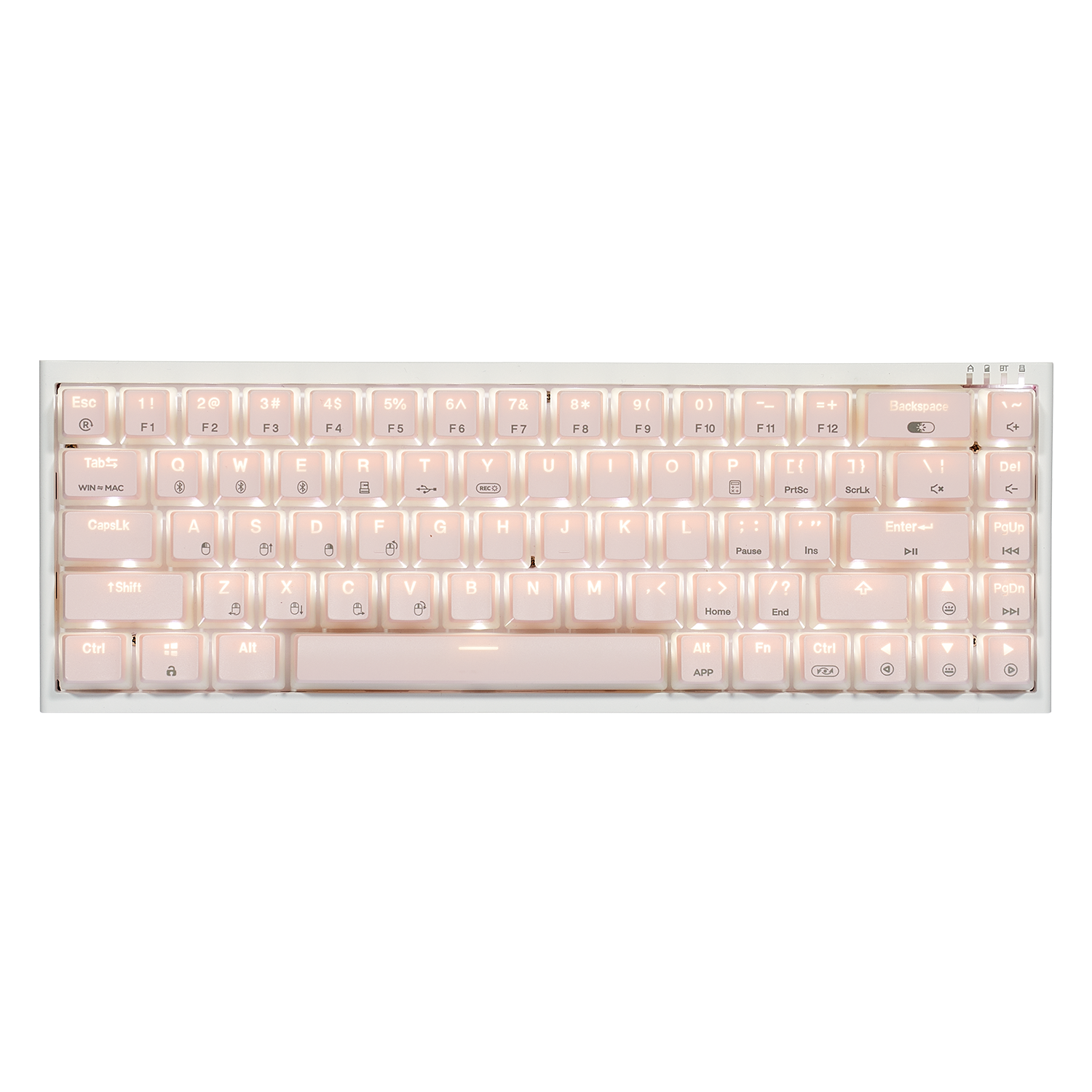 PowerBlade X1 Pro Wireless 65% Mechanical Keyboard, PBT-Pink Pudding Without Wrist Rest