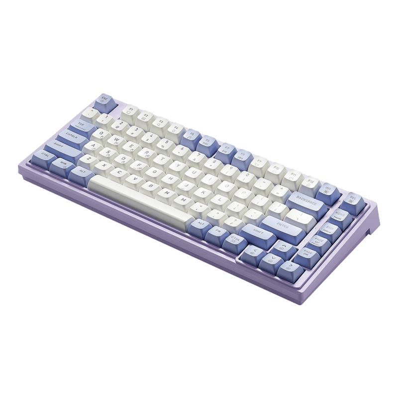 Purple Rain M2 Creamy TKL Gasket Keyboard for Gaming | Hexgears
