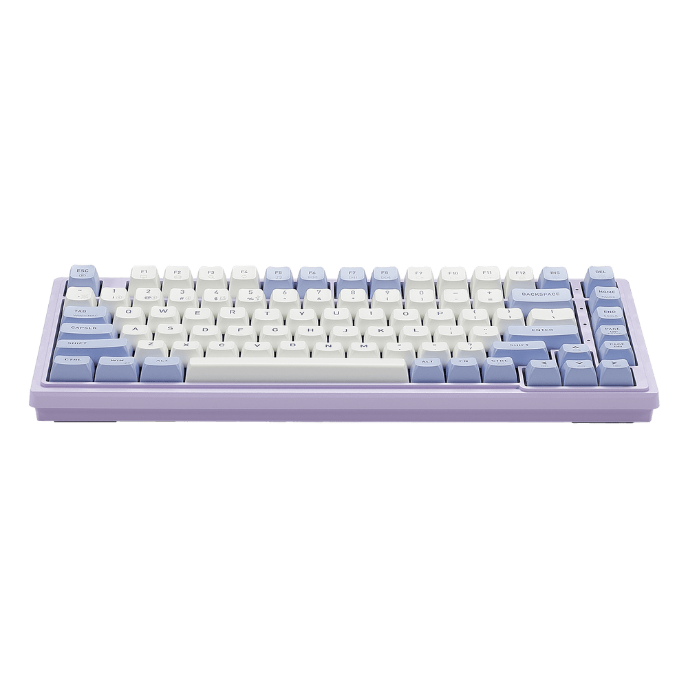 Purple Rain M2 Creamy TKL Gasket Keyboard for Gaming | Hexgears